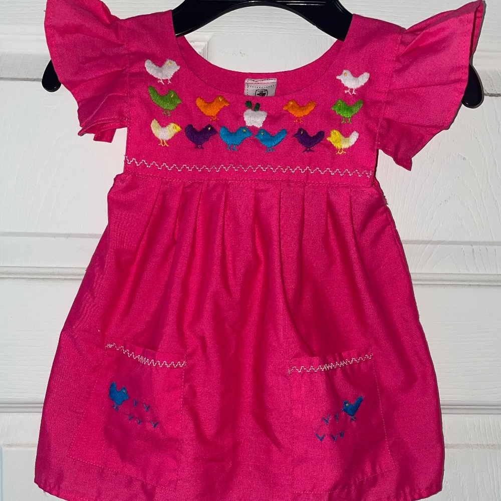 Pink Traditional Embroidered Dress Made in Mexico for babies says size 0